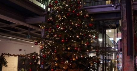 Weihnachtsbaum-beleuchtet-min-_1__SxQz01A3-min Weihnachtsbaum-beleuchtet-min-_1__SxQz01A3-min